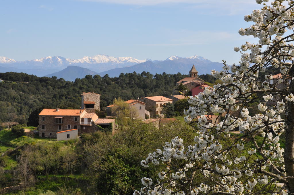 Fiore Di Machja Coti-Chiavari  Buitenkant foto