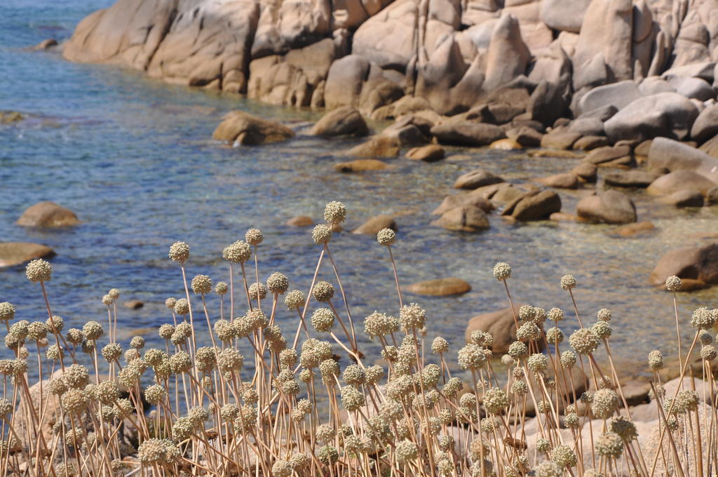 Fiore Di Machja Coti-Chiavari  Buitenkant foto